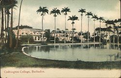 Codrington College, Barbados Postcard