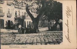 Cieza da Lingueta Postcard