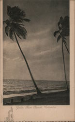 Galle Face Beach, Colombo Postcard