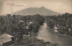 Buitenzorg, Geizcht Landa Platantuin Postcard