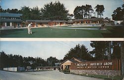 Milar's Butterfly Grove Hotel & Motor Lodge Postcard