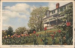 Springtime at the Williams Inn Postcard