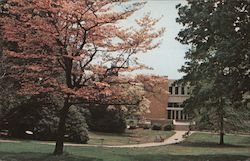 Holy Family College Postcard