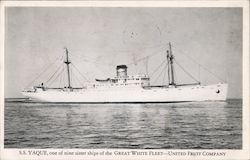 S.S. Yaque - Great White Fleet - United Fruit Company Postcard