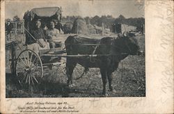 Aunt Betsey Holmes, age 93 North Carolina Women Postcard Postcard Postcard