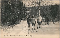 Canadian Winter Sports: Skiing on Mount Royal Postcard