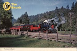 The Super Skunk Trains, Railroad Postcard Postcard Postcard