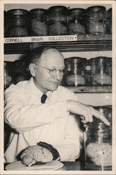 Cornell University Brain Collection 1950 Men Postcard Postcard Postcard