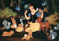 Snow White With Forest Animals Disney Postcard Postcard Postcard