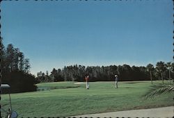 Seven Springs Country Club Florida Postcard Postcard Postcard