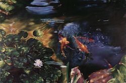 Pisces Pond by Louis Ulman Modern Postcard Postcard Postcard