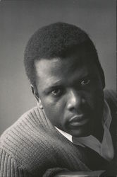 Sidney Potier, New York City, 1966 Actors Postcard Postcard Postcard