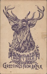 Greetings from an Elk - drawing of elk, banner with B.P.O.E. Elks Club Postcard Postcard Postcard