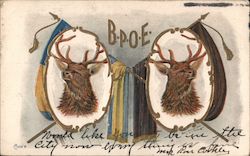 Elks Bammers Crossed Postcard