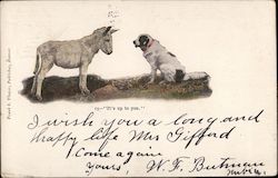 A Donkey and A Dog, "It's up to you." Dogs Postcard Postcard Postcard