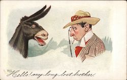 Donkey Speaking Man Comic Hello! my long lost brother. Comic, Funny Postcard Postcard Postcard