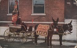 Mathie's Red Ribbon Beer - photo of giant novelty beer bottle cart drawn by donkeys Breweriana Postcard Postcard Postcard