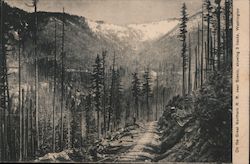 On the Great Northern R.R. near Scenic, showing 3 tracks, Washington- Mountains, trees, trails Railroad (Scenic) Postcard Postca Postcard