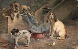 Dogs gathered around bowl of steaming water Postcard Postcard Postcard