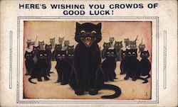 A Lot of Black Cats Postcard Postcard Postcard