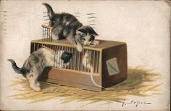 Kittens Try to Get Mouse in Cage Postcard