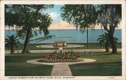 Looking Seaward from the White House Postcard