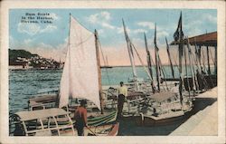 Bum Boats in the Harbor Postcard