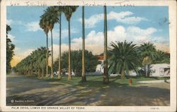 Palm Drive, Lower Rio Grande Valley of Texas Postcard