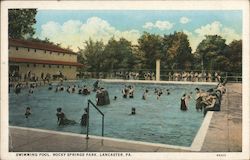 Swimming Pool - Rocky Springs Park Lancaster, PA Postcard Postcard Postcard