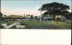 British military installation on Tonga South Pacific Postcard Postcard Postcard