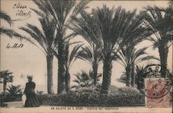 Un Saluto da S.Remo - Giardino dell Imperatrice Sanremo, Italy Postcard Postcard Postcard