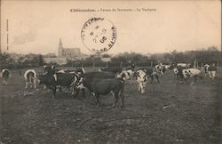 Nermont Farm, The Vacherie Postcard