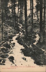 Photograph of a French waterfall Gerardmer, France Postcard Postcard Postcard