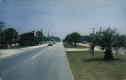 Palms Line the King's Highway in Postcard