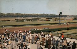 Belmont Park, Long Island Postcard