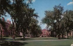 Campus of Brown University Postcard