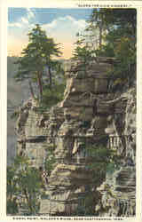 Signal Point, Walden's Ridge Postcard