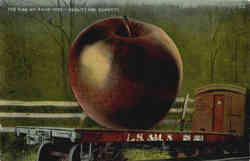 Giant Apple Exaggeration Postcard Postcard