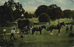 Farming Scene, Horses Haying, Farmers Postcard Postcard