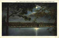 Moonlight Scene In Florida, Showing Orange Grove Across Lake Postcard