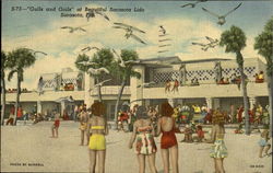 Gulls And Goils Postcard