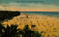 A Glorious Day On Sunny Miami Beach Florida Postcard Postcard