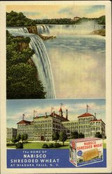 The Home Of Nabisco Shredded Wheat Niagara Falls, NY Postcard Postcard