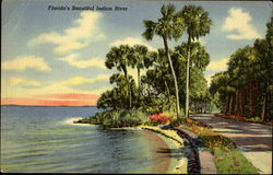 Florida's Beautiful Indian River Postcard