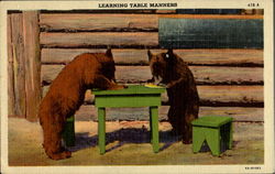 Learning Table Manners Postcard