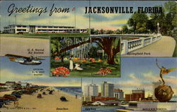 Greetings From Jacksonville Postcard