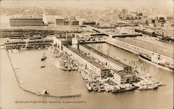 Boston Fish Pier Massachusetts Postcard Postcard Postcard