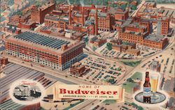 Home of Budweiser Anheuser-Busch St. Louis, MO Postcard Postcard Postcard