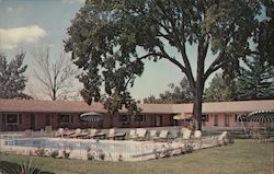 Alexandria Motel Postcard