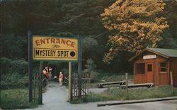 Entrance to The Mystery Spot in Santa Cruz Postcard